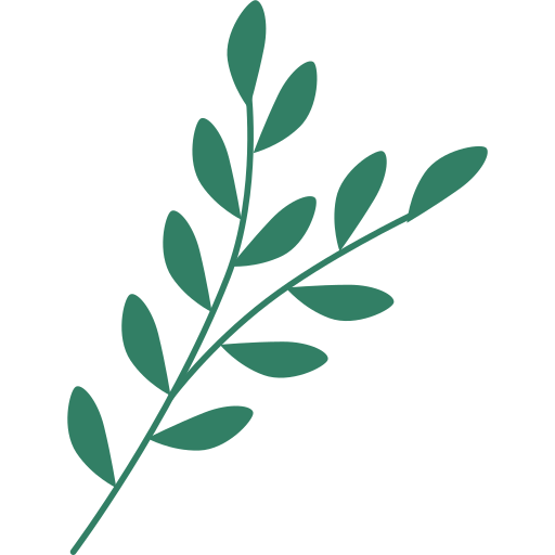 Planta